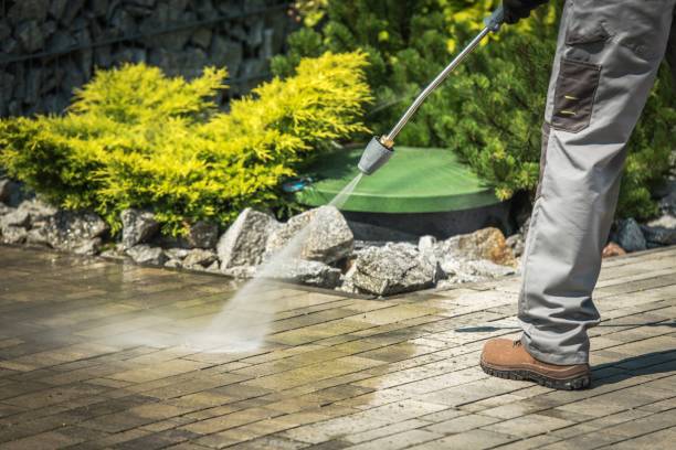 Professional Pressure Washing in Alexandria, AL